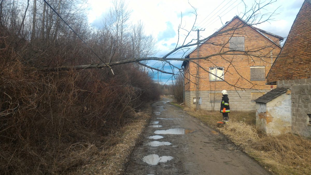 Wichura powala drzewa- interwencja Strażaków w Brzanie