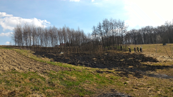 Kolejny pożar traw w tym tygodniu- płonące łąki w Wilczyskach!
