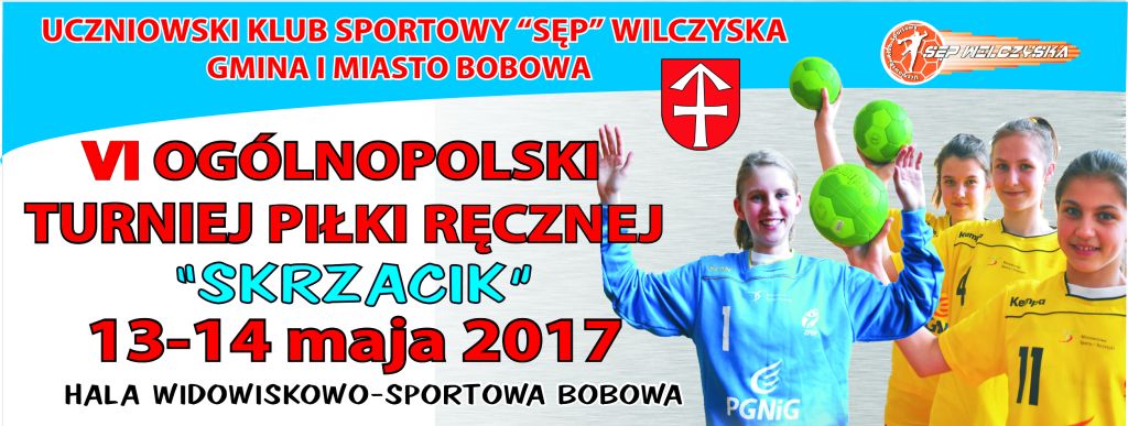 Puchar „Skrzacik” 2017 – dla Wilczysk!!!