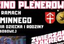 Kino Plenerowe w Bobowej – Gminny Dzień Dziecka i Rodziny [31.05.2026]